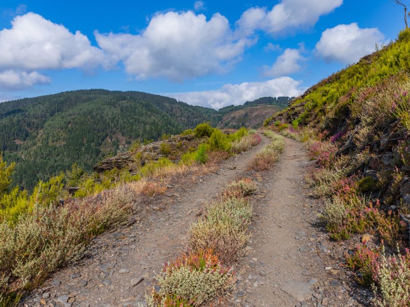 Breiter Wanderweg mit Wolkenhimmel im Hintergrund am Primitivo Jakobsweg